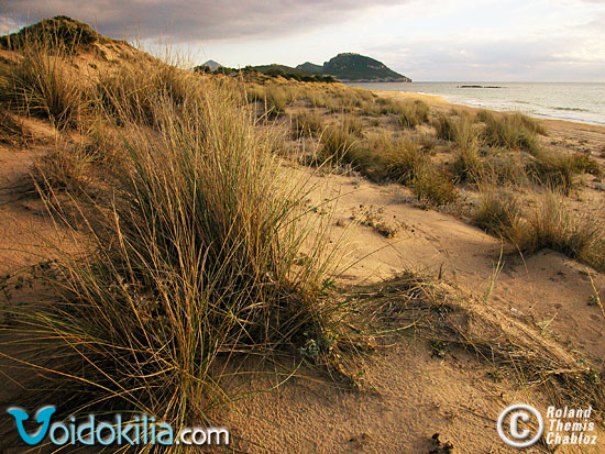 Romanos Beach - Dunes Sand