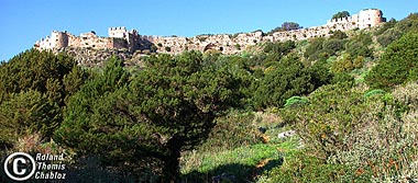 Château-forteresse de Paliokastro