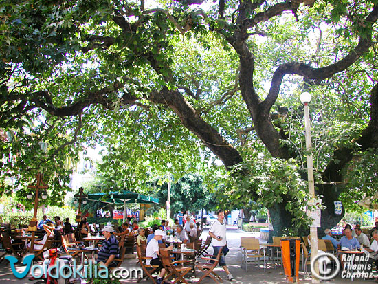 Pylos: main square cafe-pastry shops (kafenion platia)