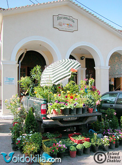 Pylos, Flowers