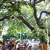 Pylos - Main square cafe-pastry